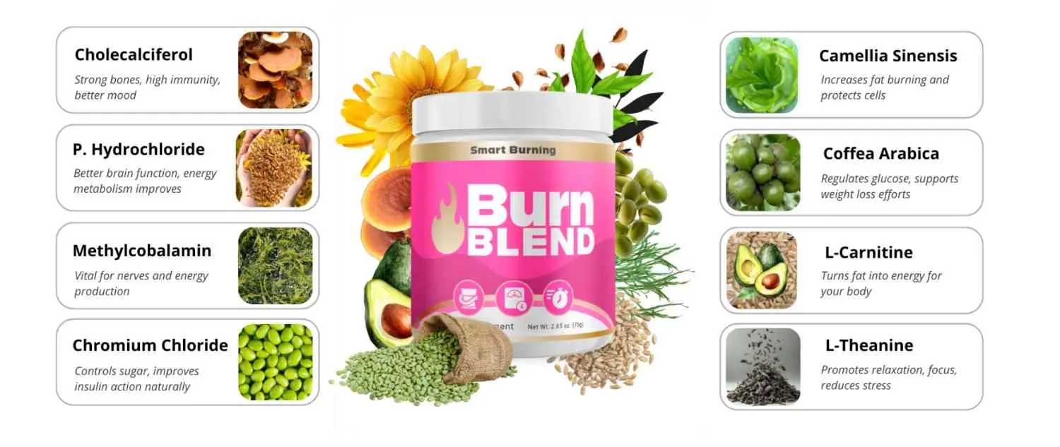 BurnBlend Ingredients BurnBlend Ingredients
